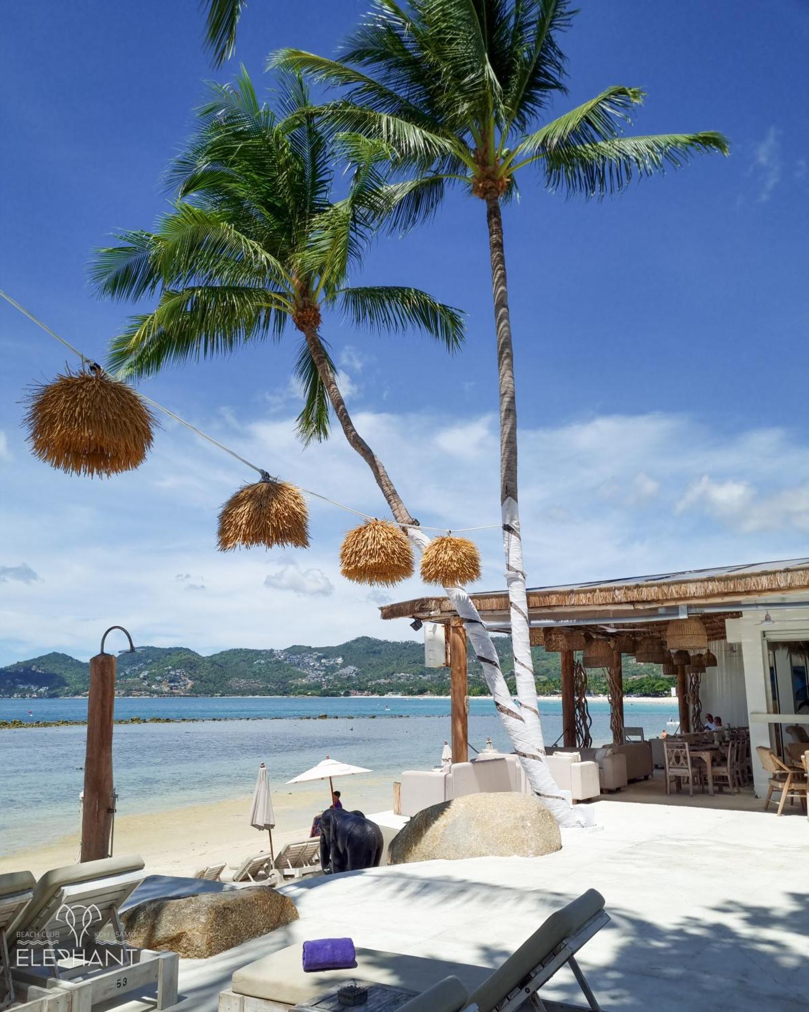 Elephant Beach Club & Resort Samui Chaweng  Exterior photo